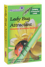 Ladybug Attractant