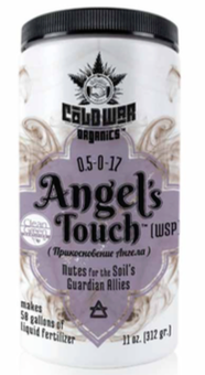 Angel's Touch