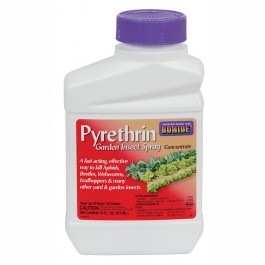 Bonide Pyrethrin Garden Insect Spray