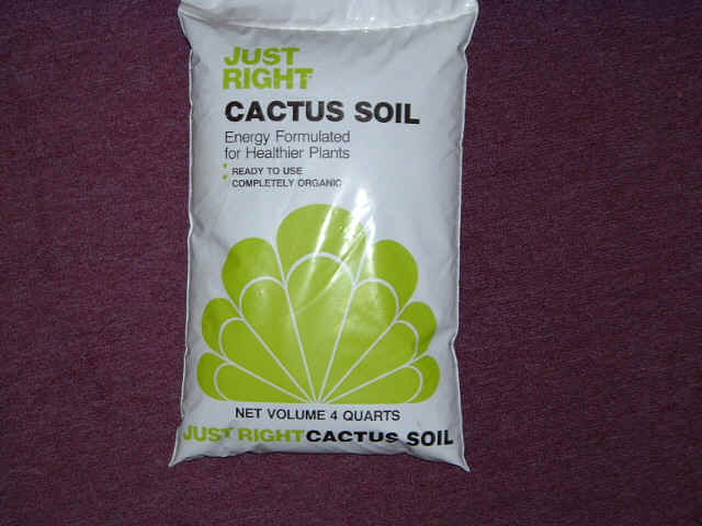 Cactus Soil