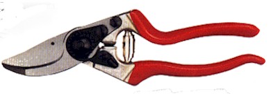 Felco Pruner #8