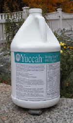 Yuccah (Yucca liquid concentrate)
